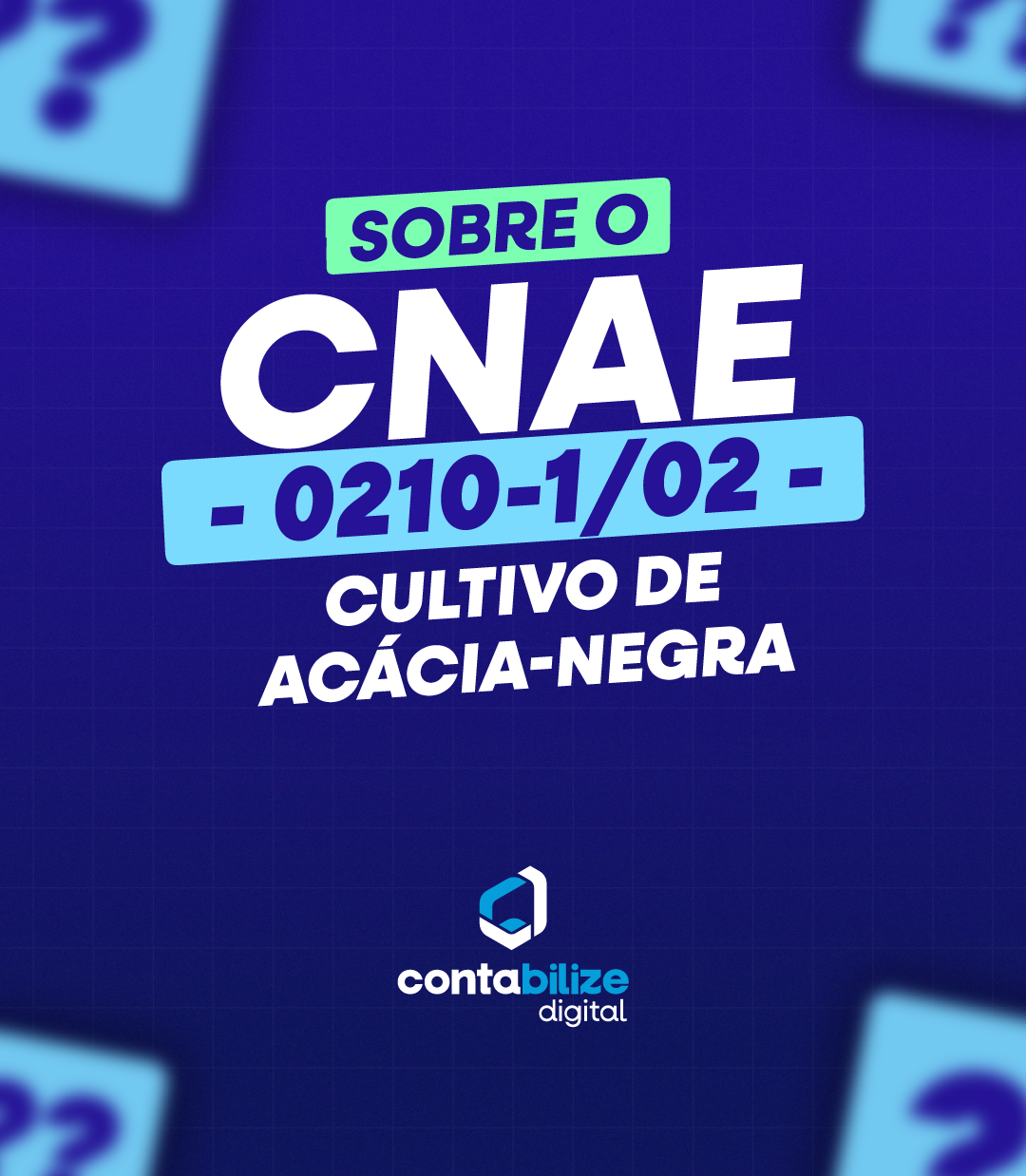 Cultivo de acácia-negra