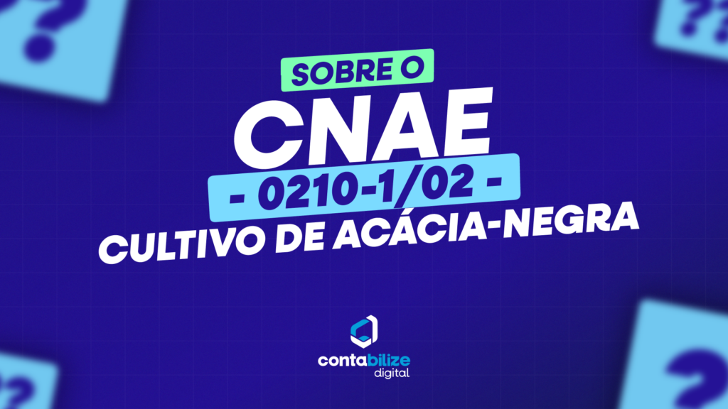 Cultivo de acácia-negra