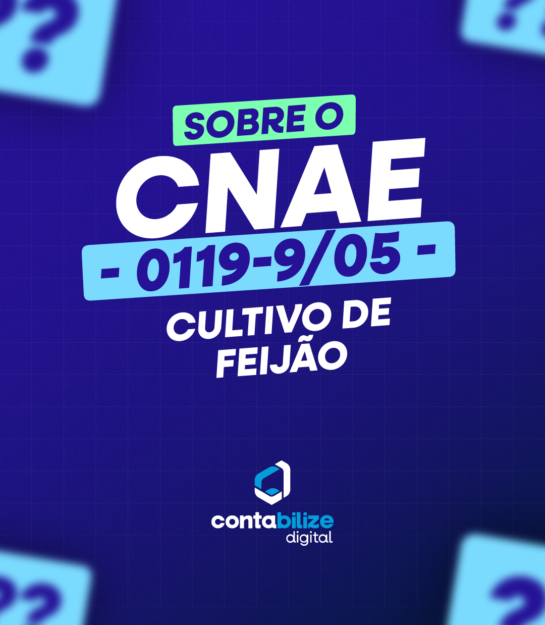 CNAE 0119-9/05 – Cultivo de feijão.