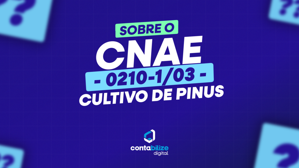 Cultivo de pinus