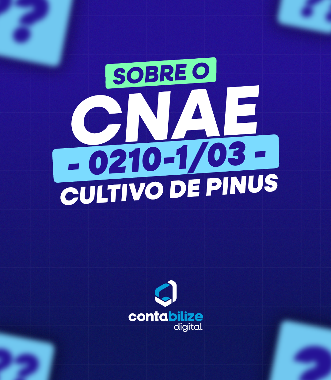 Cultivo de pinus