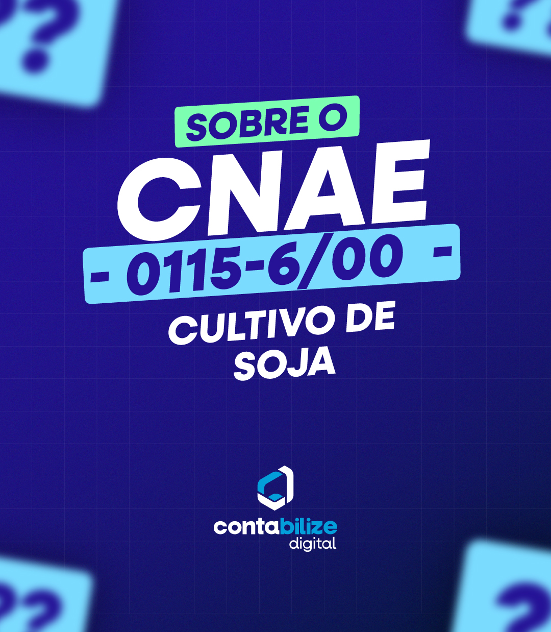 CNAE 0115-6/00 – Cultivo de soja.