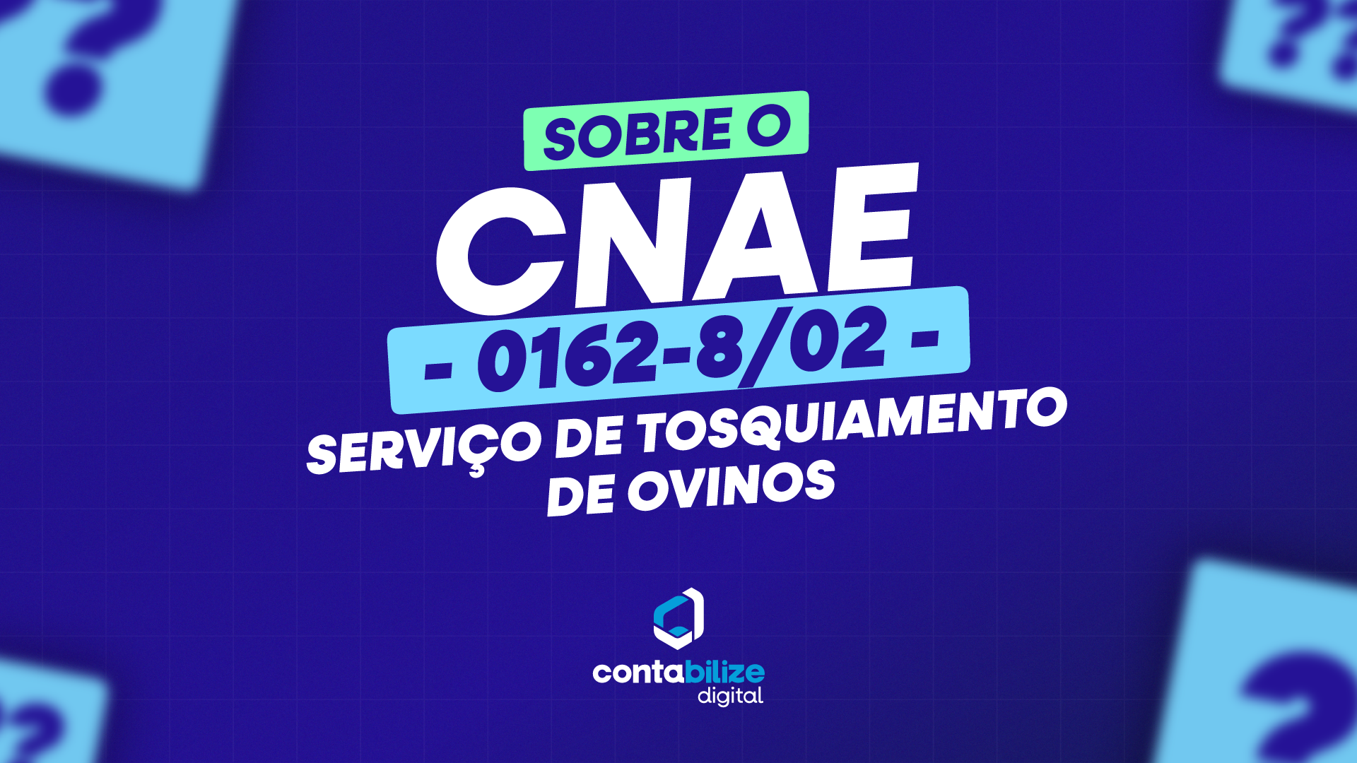 Serviço de tosquiamento de ovinos.