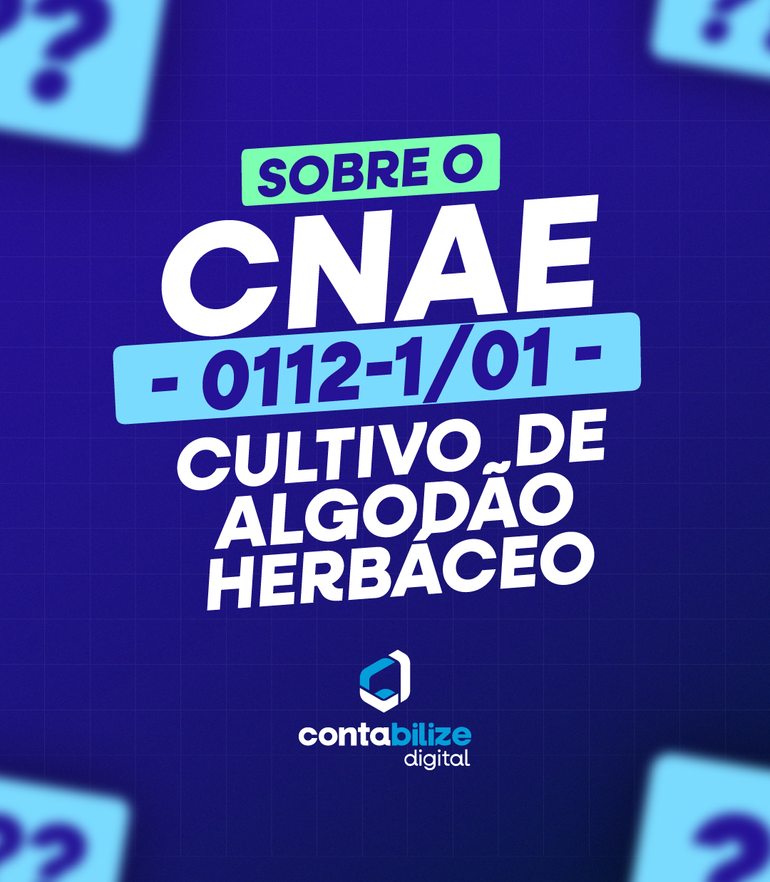 CNAE 0112-1/01 – Cultivo de algodão herbáceo.