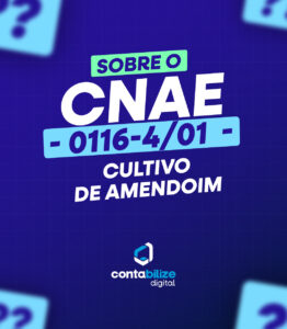 CNAE 0116-4/01 – Cultivo de amendoim.