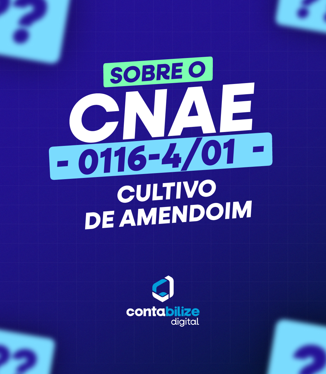 CNAE 0116-4/01 – Cultivo de amendoim.